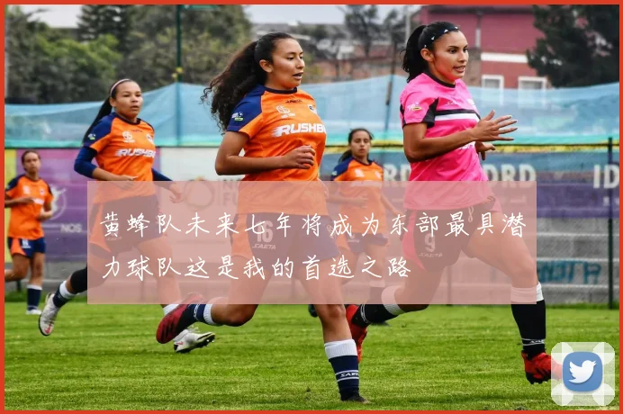 黄蜂队未来七年将成为东部最具潜力球队这是我的首选之路