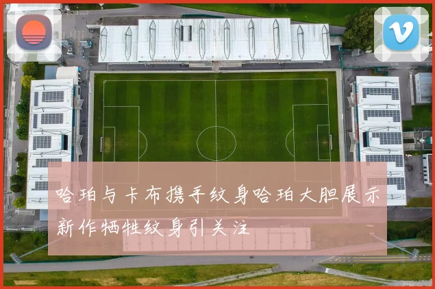 哈珀与卡布携手纹身哈珀大胆展示新作牺牲纹身引关注